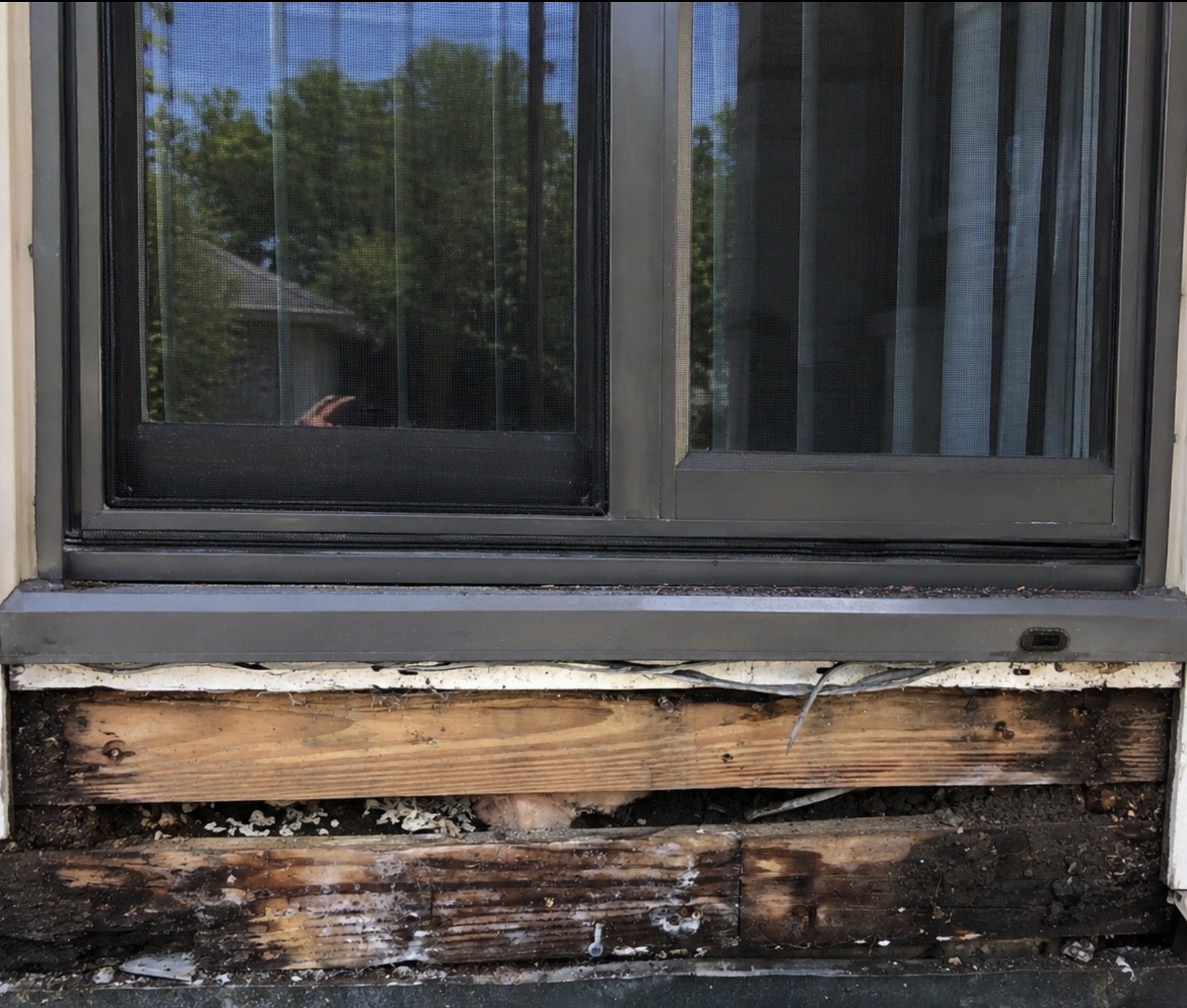 Replace Wood Rot Holm Painting Holm Painting Replace Wood Rot Overland Park