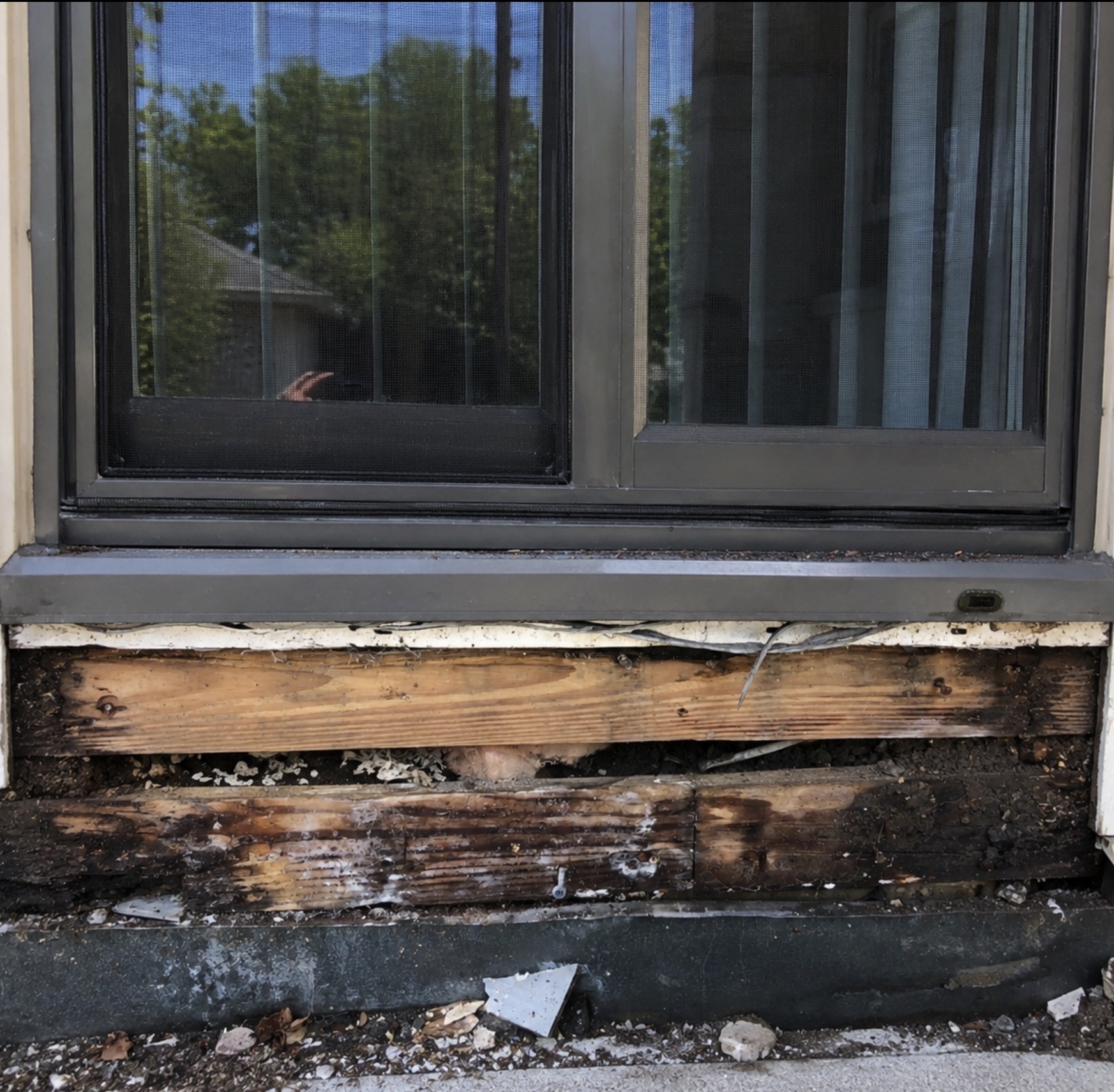 Wood rot repair Kansas City